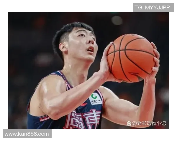 上海羽毛球队球员个人能力深度对比与分析探讨